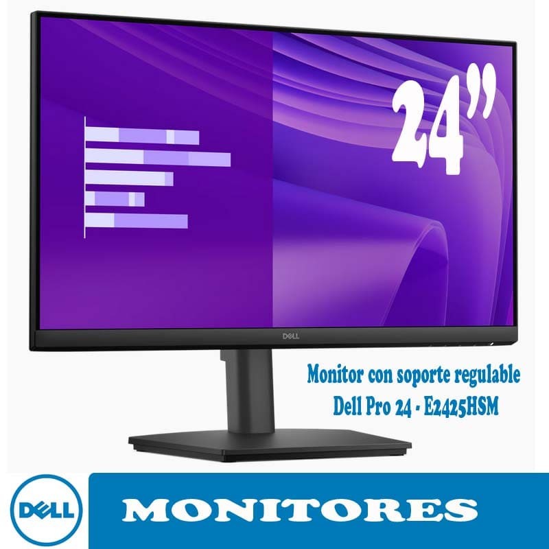 DELL E2424HS