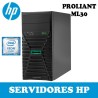 HP ML30