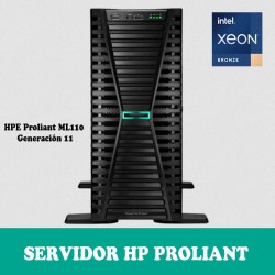HPE ML110 IP78115-DM5