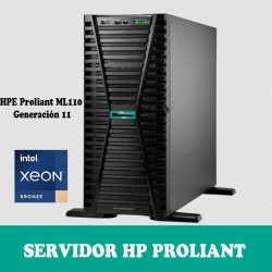 HPE ML110 IP78115-DM5
