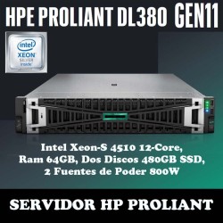 HPE DL380 P81495-DM5