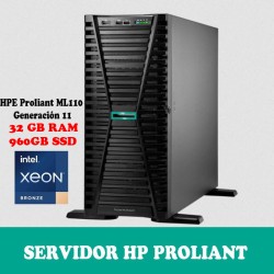 HPE ML110 IP78115-DM5