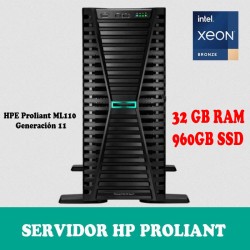 HPE ML110 IP78115-DM5