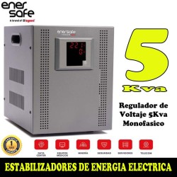 Enersafe EVMONO5KVA