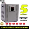 Enersafe EVMONO5KVA