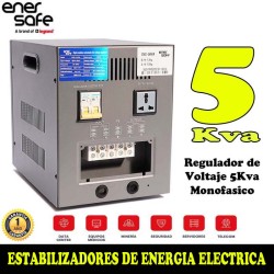 Enersafe EVMONO5KVA