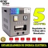 Enersafe EVMONO5KVA