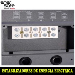 Enersafe EVMONO5KVA